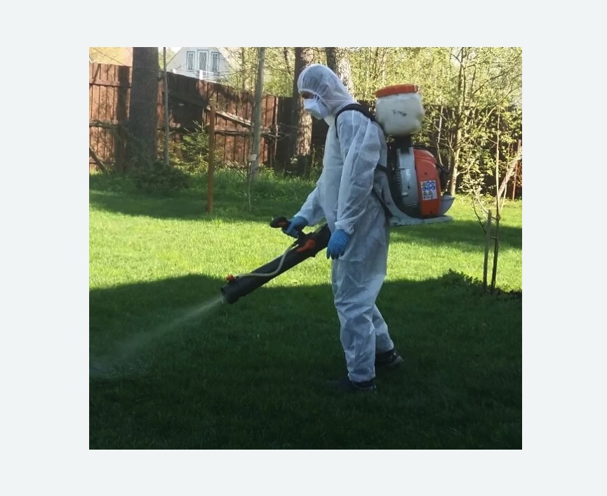 Обработка территории от клещей в Борисоглебске