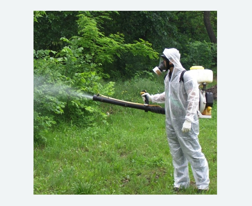 обработка территории от клещей в Борисоглебске