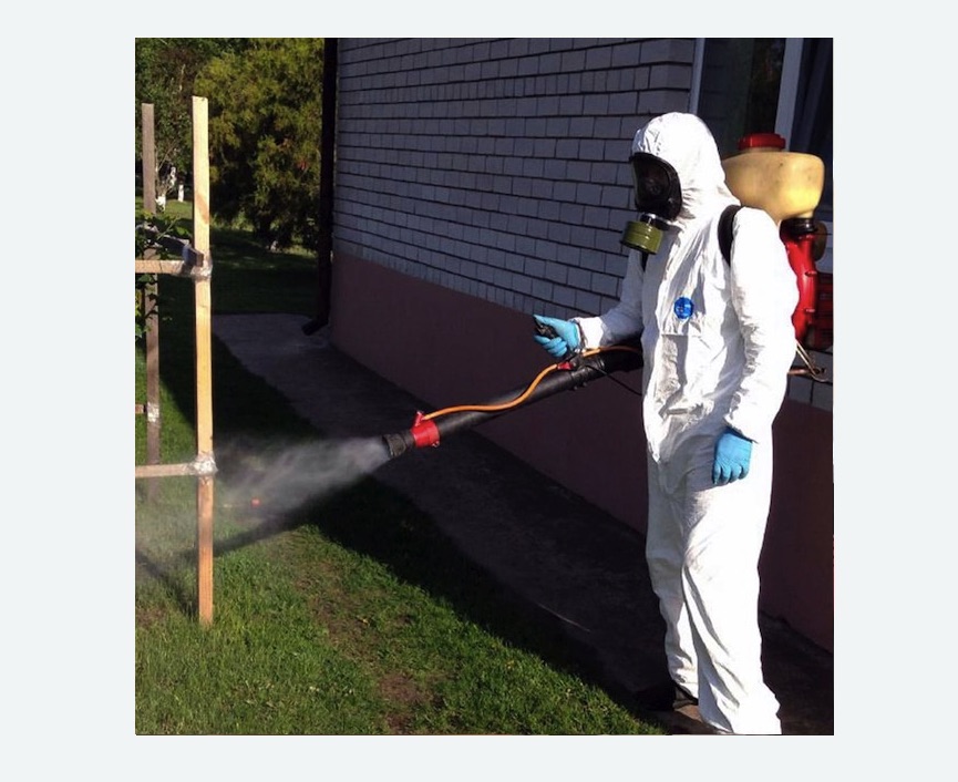 травля клещей на участке в Борисоглебске