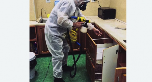 Уничтожение насекомых в квартире. Борисоглебск