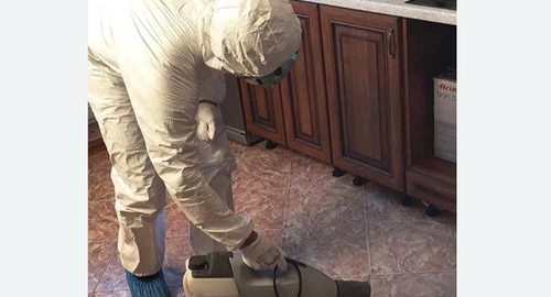 Уничтожение тараканов в квартире. Борисоглебск