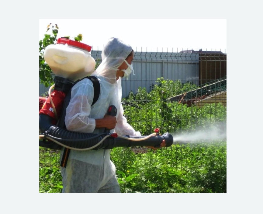 Акарицидная обработка территории в Борисоглебске