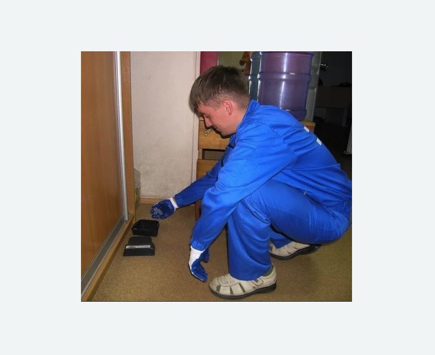 Дератизация крыс в Борисоглебске