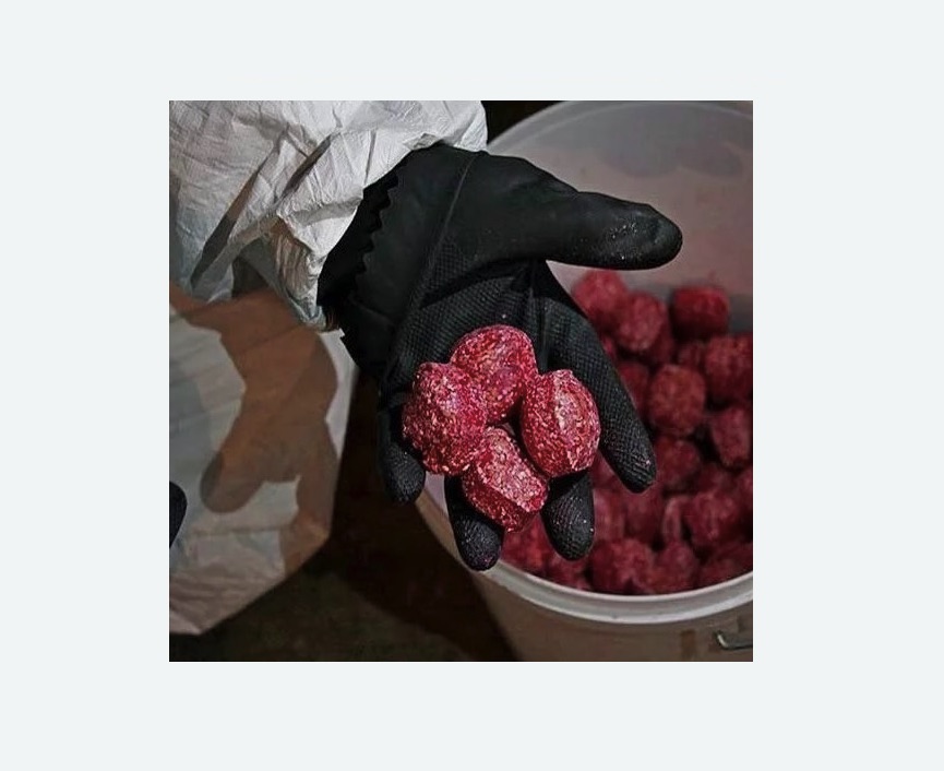 Обработка от крыс в Борисоглебске