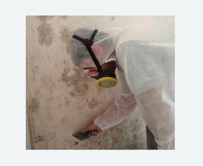 Обработка стен от плесени Обработка стен от плесени в Борисоглебске