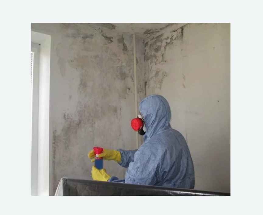 Удаление плесени в квартире Удаление плесени в квартире в Борисоглебске