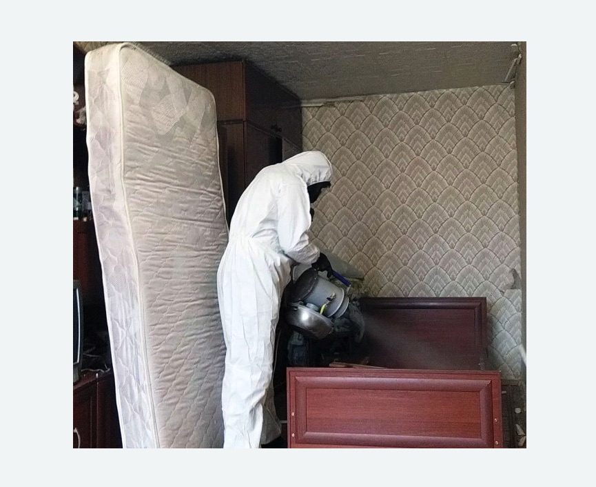 дезинфекция от клопов в Борисоглебске