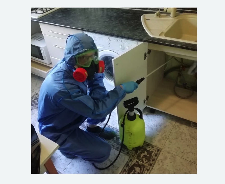 обработка от муравьев в квартире в Борисоглебске