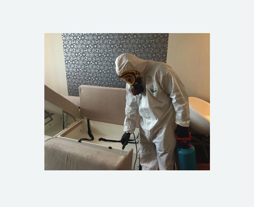 уничтожение клопов в квартире в Борисоглебске