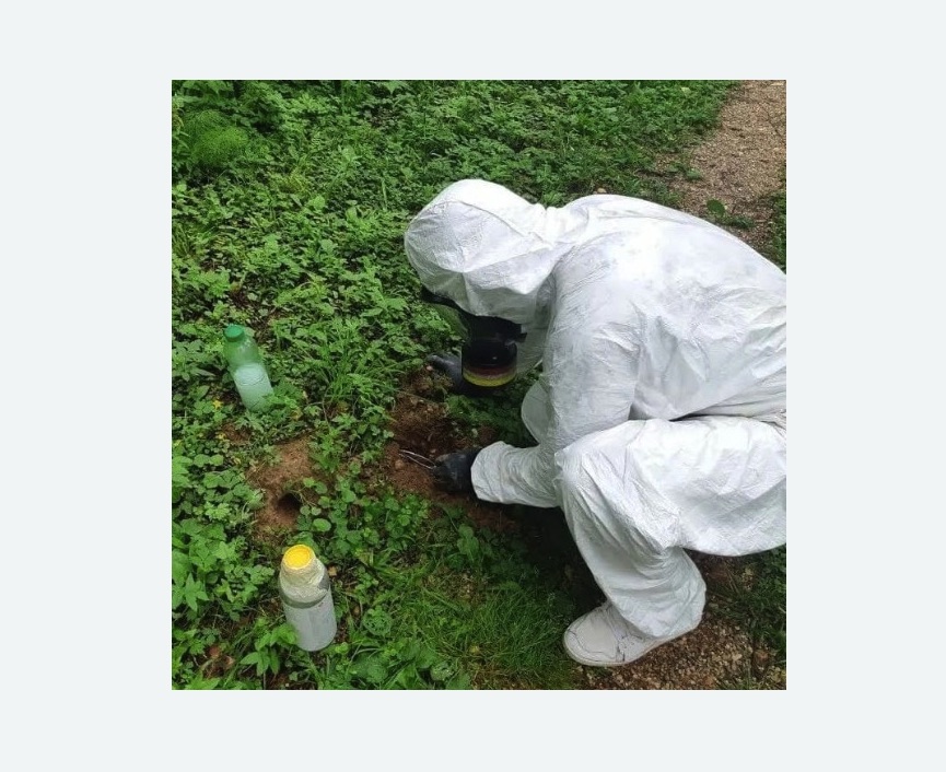 уничтожение кротов на участке в Борисоглебске