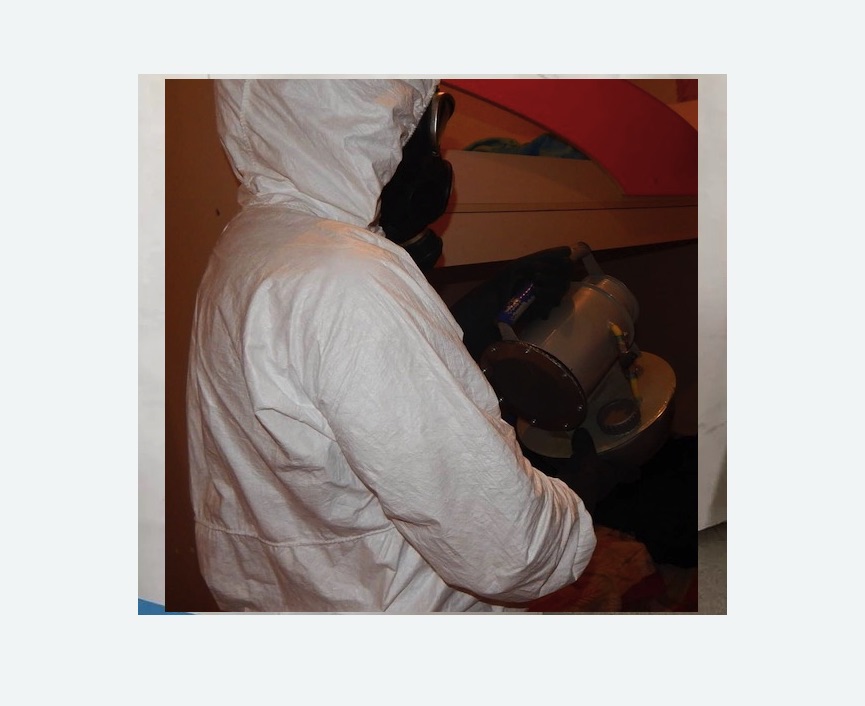 Дезинфекция от муравьев в Борисоглебске