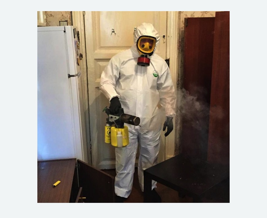 уничтожение муравьев в квартире в Борисоглебске